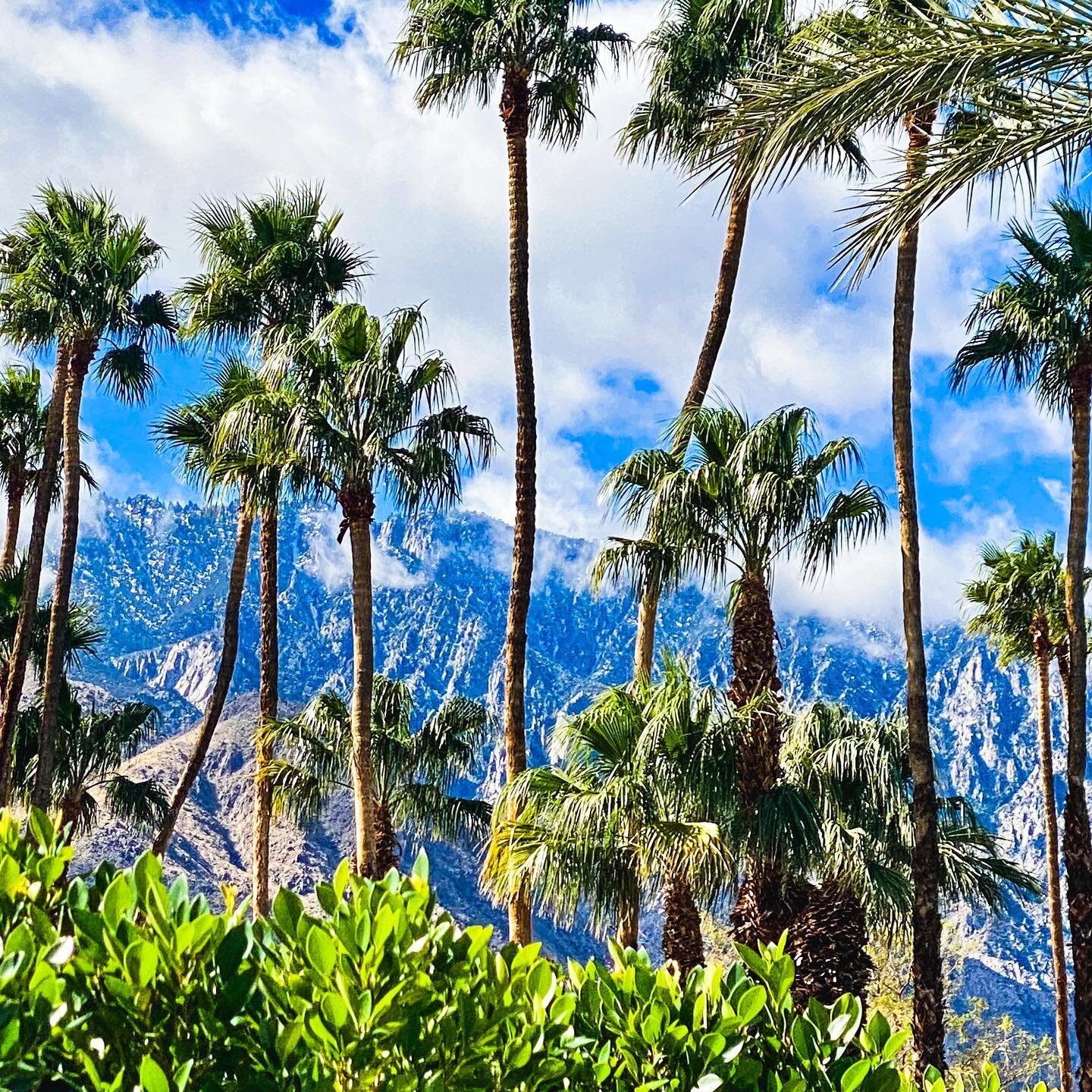 Palm Springs-